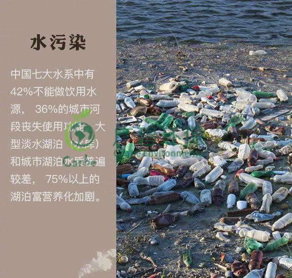世界地球日 我們能為地球做些什么？(圖2)