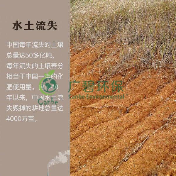 世界地球日 我們能為地球做些什么？(圖7)