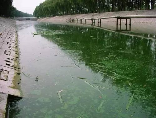 城市黑臭河道如何治理？河道黑臭水體治理思路(圖1)