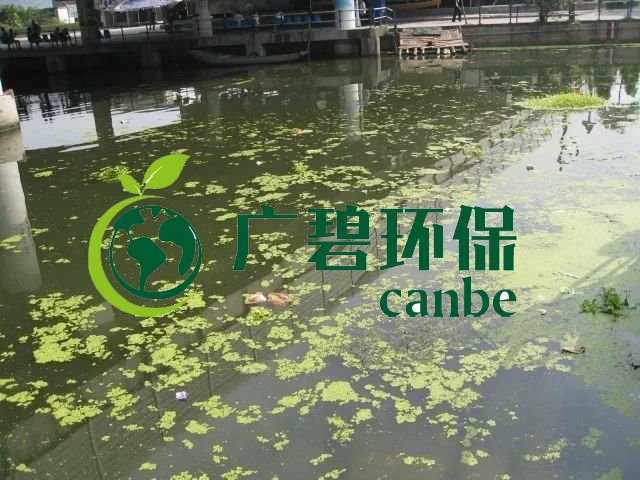 城市黑臭河道如何治理？河道黑臭水體治理思路(圖3)