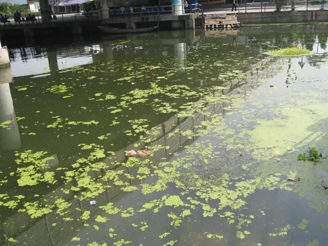 城市黑臭河道如何治理？河道黑臭水體治理思路