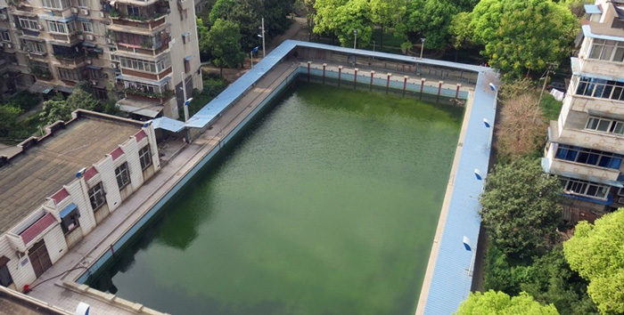 游泳池水變綠是什么原因？游泳池水處理方法