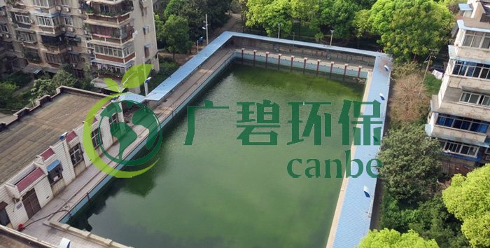 游泳池水變綠是什么原因？游泳池水處理方法(圖1)