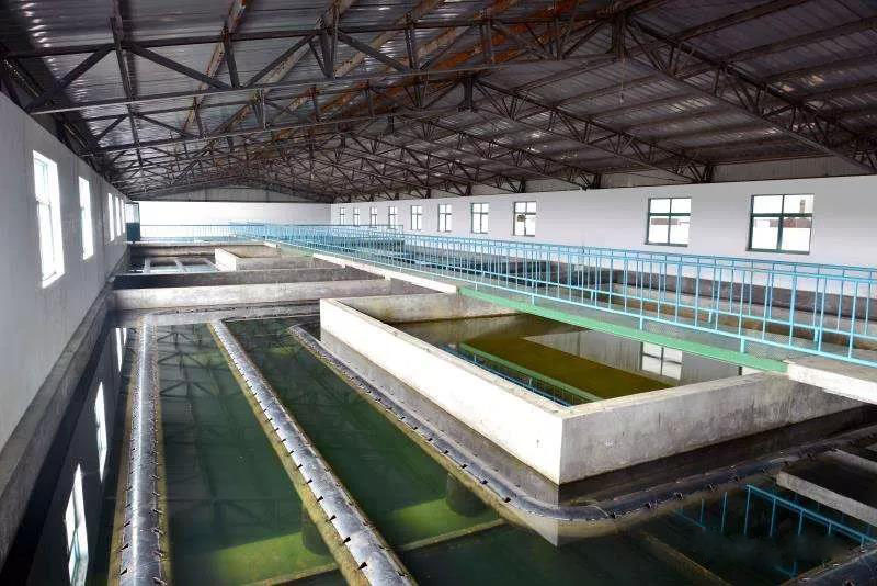 什么是制糖廢水？制糖廢水處理技術(shù)