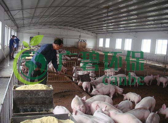 什么是養(yǎng)殖廢水？養(yǎng)殖廢水處理工藝(圖1)