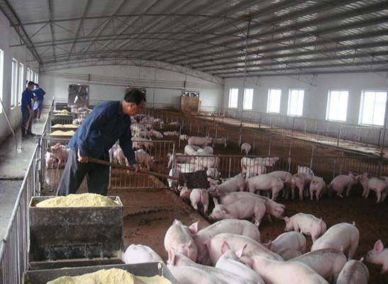 什么是養(yǎng)殖廢水？養(yǎng)殖廢水處理工藝