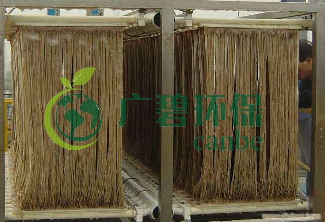 MBR污泥膨脹怎么處理？污泥膨脹的處理方法(圖1)