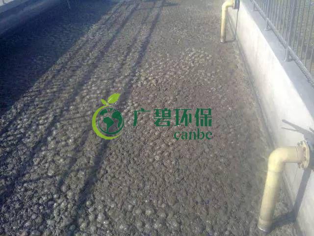污泥發(fā)黑是什么原因造成？污泥發(fā)黑經(jīng)驗分享(圖1)