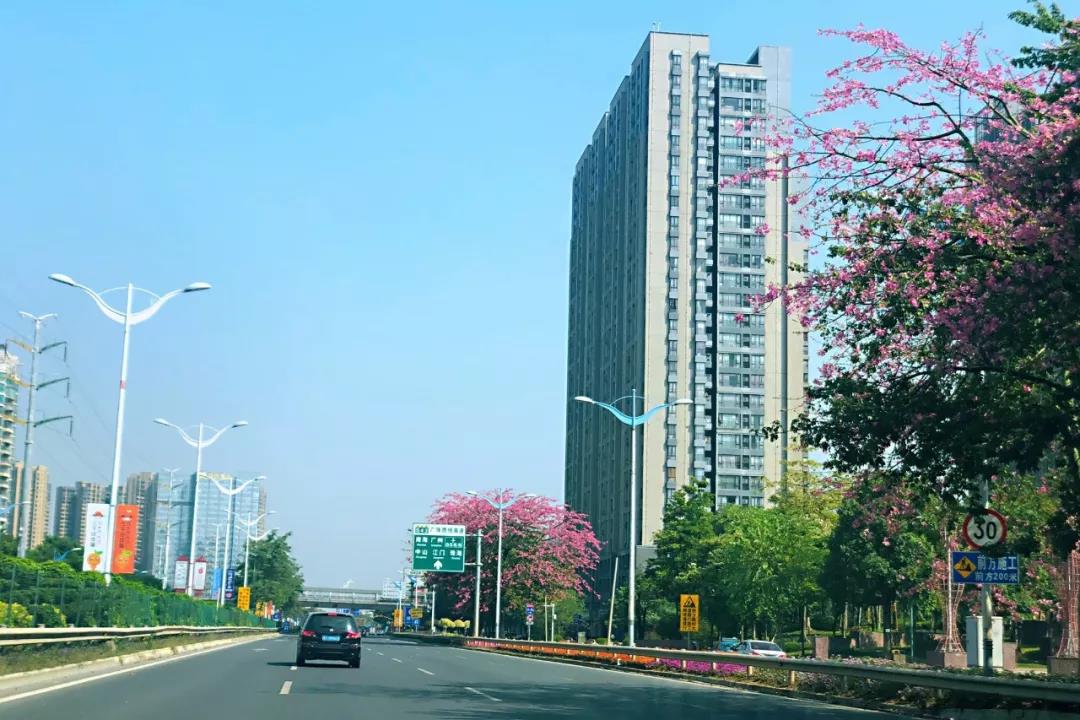 環(huán)境部印發(fā)《規(guī)劃環(huán)評技術(shù)導(dǎo)則 總綱》，項目環(huán)評部分章節(jié)可簡化