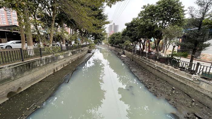 順德大良石洛涌、八坊涌整治見(jiàn)成效(圖3)